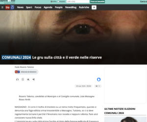 TIO.ch 2024-03-29 massagno-rosso-verde - Le gru sulla città